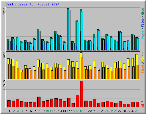 Daily usage for August 2024