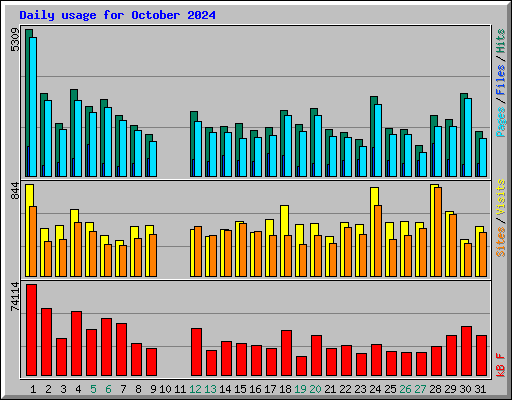 Daily usage for October 2024