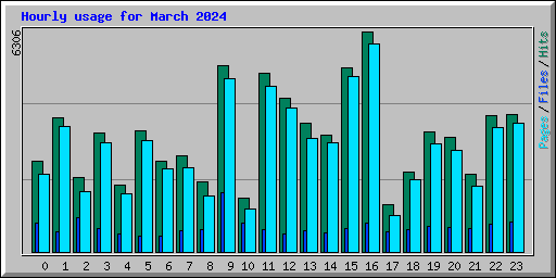 Hourly usage for March 2024