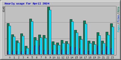 Hourly usage for April 2024