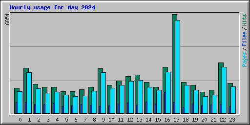 Hourly usage for May 2024