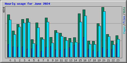 Hourly usage for June 2024