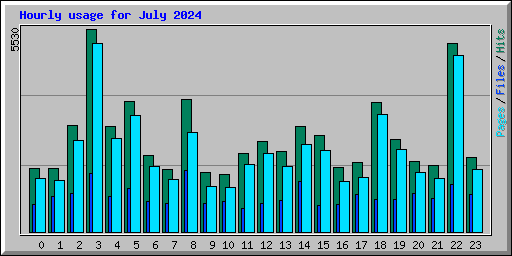 Hourly usage for July 2024