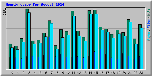 Hourly usage for August 2024