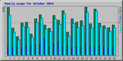 Hourly usage for October 2024