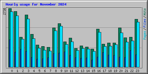 Hourly usage for November 2024